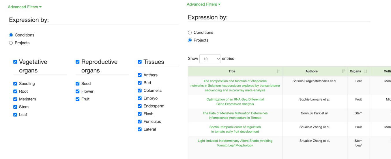 Advanced search: Project